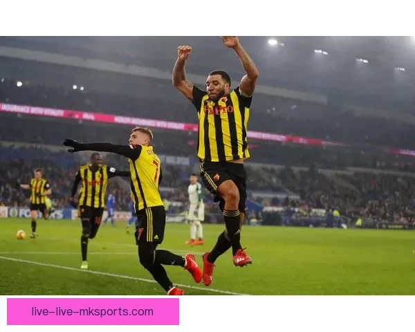 最新足球直播链接汇总高清赛事在线观看指南实时更新全球热门比赛